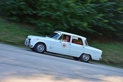 Alfa Romeo Giulia 1600 on the mountain - Eggberg Klassik 2019