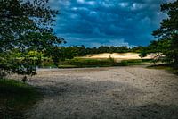 Donkere lucht Loonse en Drunense Duinen