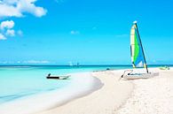 Tropisch strand op Aruba in de Caribbische Zee von Eye on You Miniaturansicht