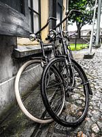 Nederlandse Fietsen