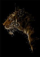 Scribble Art