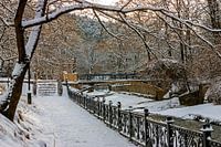 Winter landscape in park.