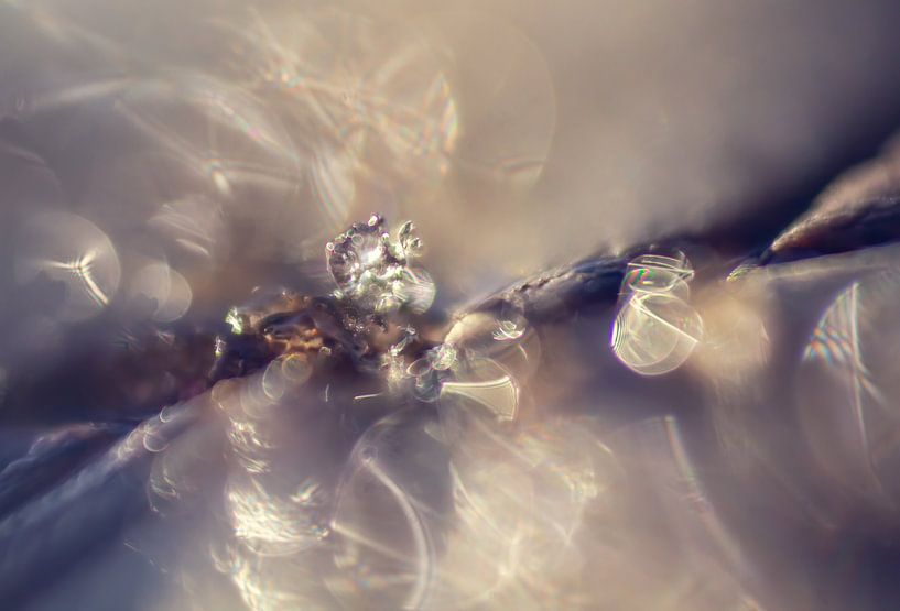 Glinsterned gold by natascha verbij