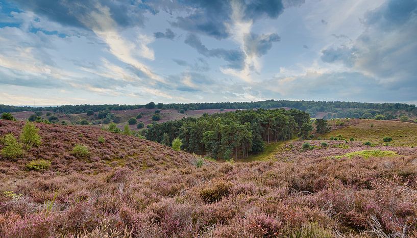 The Posbank. by Menno Schaefer