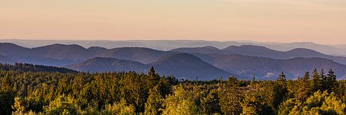 Panorama Nationalpark Schwarzwald beim Schliffkopf