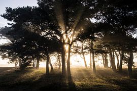 Zonsopkomst Balloereveld by Rens Zwanenburg