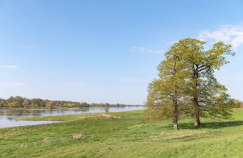 Elbe-Brandenburg biosphere reserve by Richard Wareham