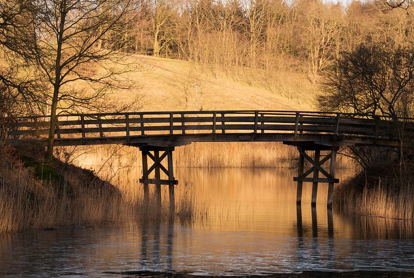 houten bruggetje over het water par ChrisWillemsen