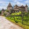 Bolzano Maretsch Castle by Melanie Viola