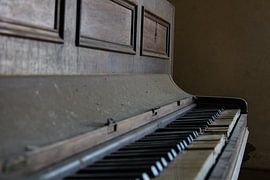 old tunes by Wonderland of Decay