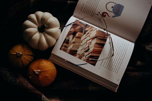 Gemütlicher Kürbis