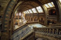 Natural History Museum (London, England)