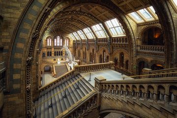 Natural History Museum (London, England)