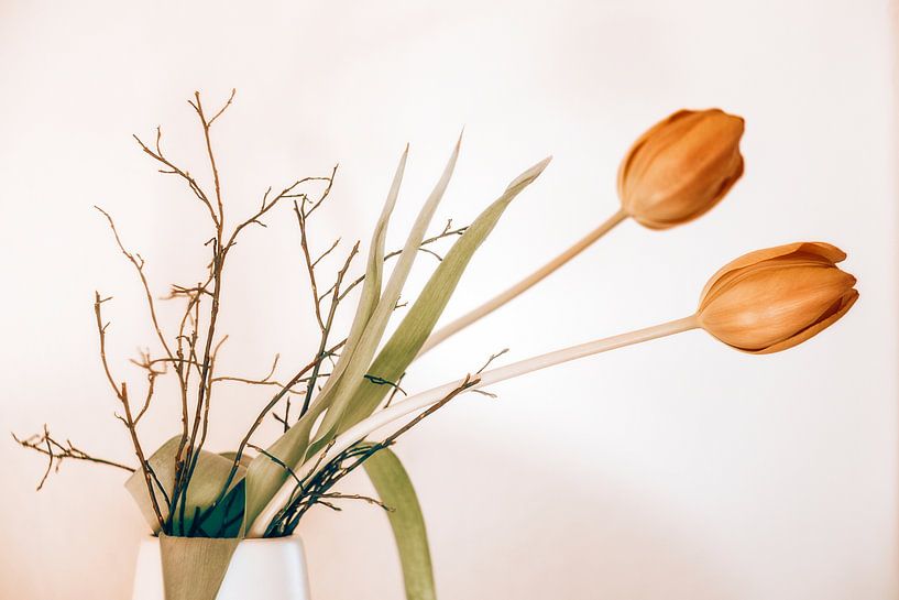 twee tulpen van Michael Schulz-Dostal