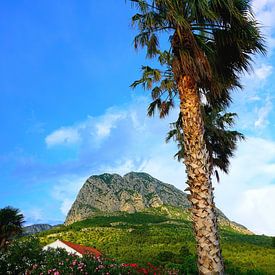 Berglandschap Montenegro van Thomas Zacharias