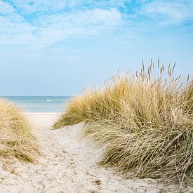 Idyllischer Strandweg mit Dünen und Meer in Baabe von Mirko Boy