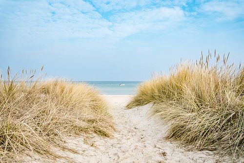 Idyllischer Strandweg mit Dünen und Meer in Baabe von Mirko Boy