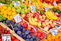 Fruit