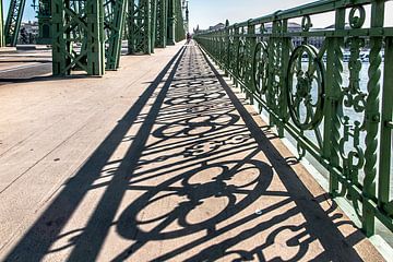 schaduw en brugleuning van de vrijheidsbrug in boedapest van Eric van Nieuwland