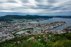 View to the city Bergen in Norway van Rico Ködder