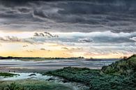 Natuurpark 't Zwin 1 van Willy Lippens thumbnail