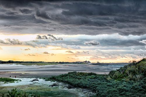 Nature Park 't Zwin 1