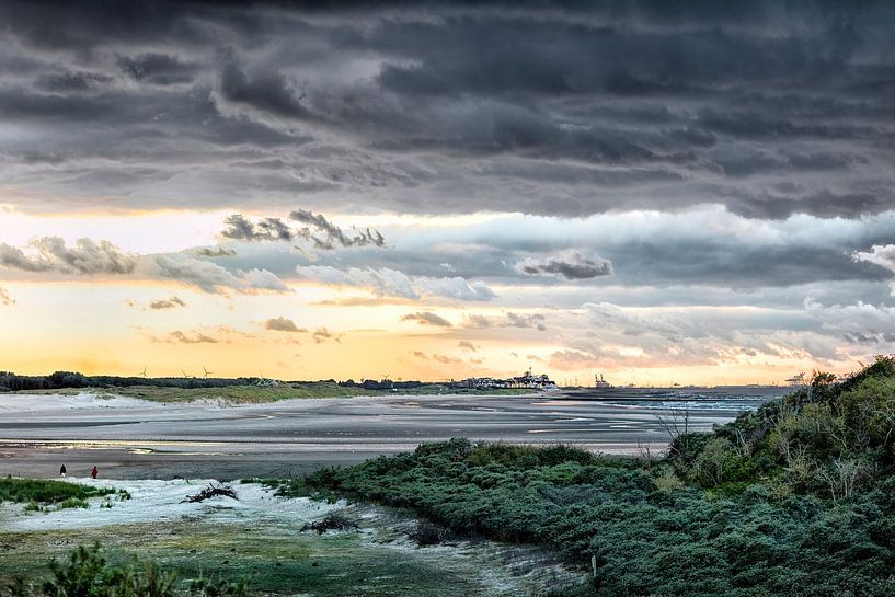 Natuurpark 't Zwin 1 van Willy Lippens