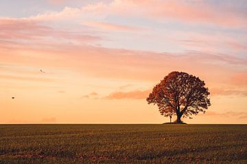 Evening atmosphere by Catrin Grabowski