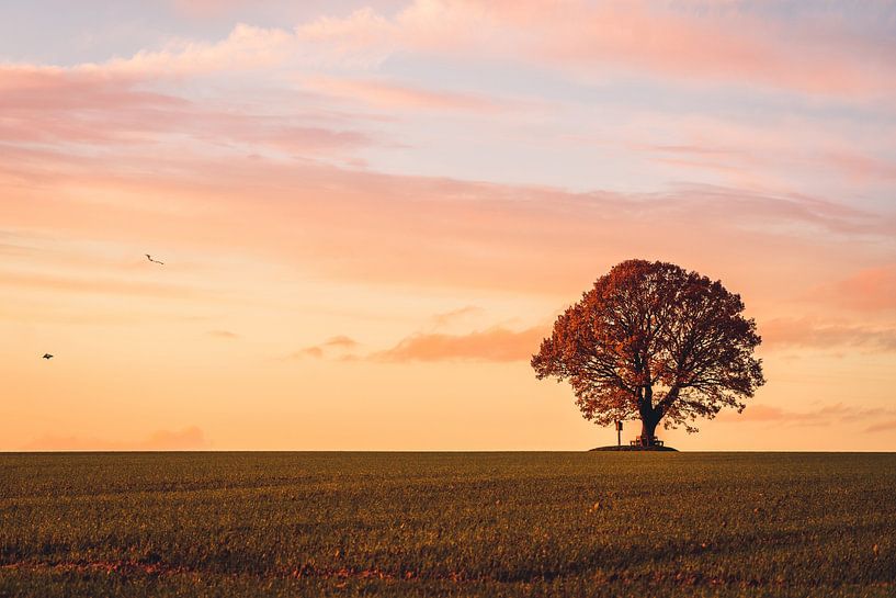 Avondsfeer van Catrin Grabowski