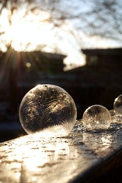 Frozen soapbubbl van Tanja Huizinga Photography
