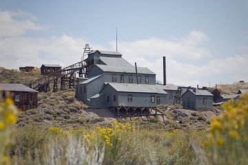 The Standard Mill in Bodie by Svenja de Vries