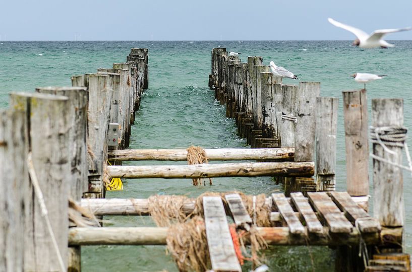 Verwitterter Holzsteg mit Möwen am Meer von Alexander Baumann