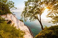 Møns Klint sur l'île de Møn au Danemark