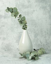 Eucalyptus in vase by Bianca Ansems