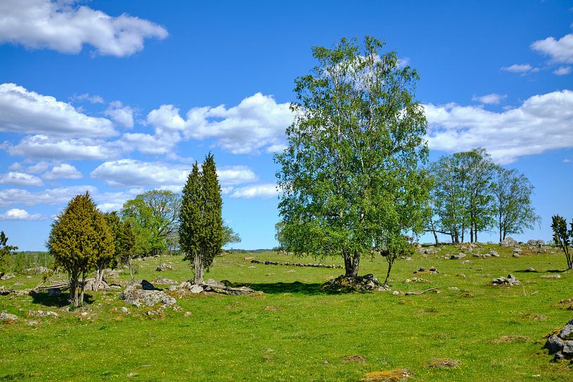 Swedish landscape 155 by Geertjan Plooijer