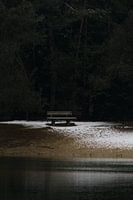 Bench in a winter landscape