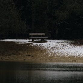 Bench in a winter landscape by Manon Doelkamid