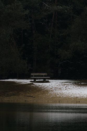 Bench in a winter landscape