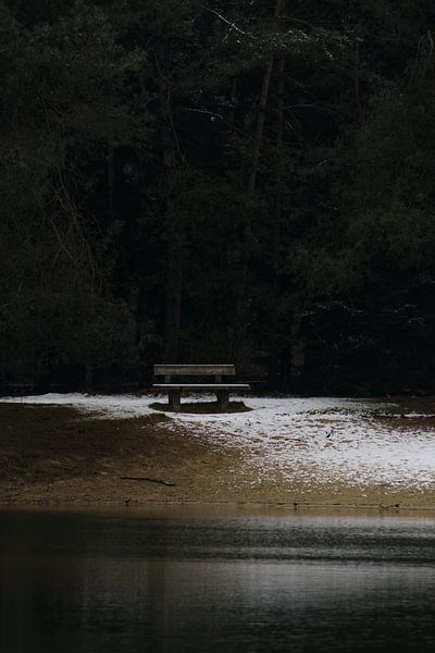 Bench in a winter landscape by Manon Doelkamid