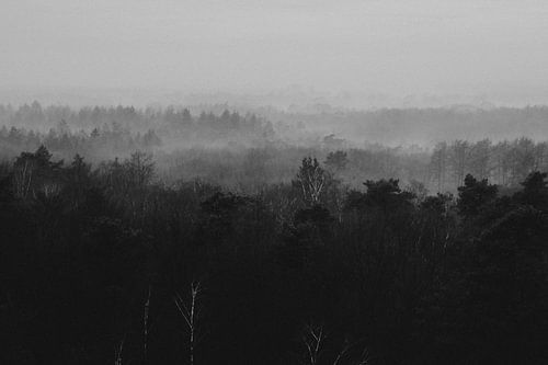 Uitzicht over het Eerderbos