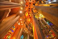 Interior of the Sagrada Familia in Barcelona - design by Gaudi