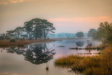 Holtveen van Peet de Rouw