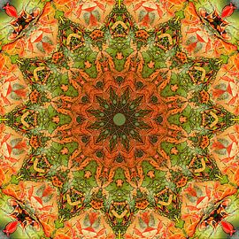 Fin de siècle van Frans Blok - foto's, kunst en andere wanddecoratie