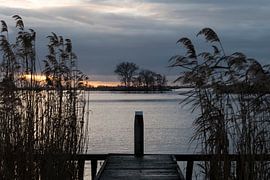 Path to... by Ineke Verbeeck