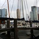 Rotterdamse Haven van Karen Boer-Gijsman thumbnail