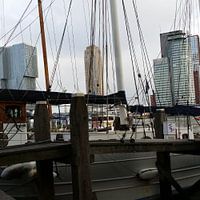 Rotterdamse Haven