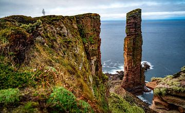 old man of hoy with shadow