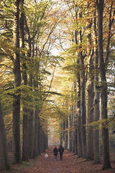 Forest path walkers by Peter Haastrecht, van