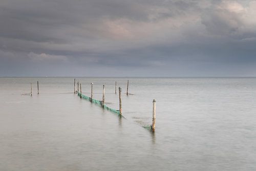 Fishing nets