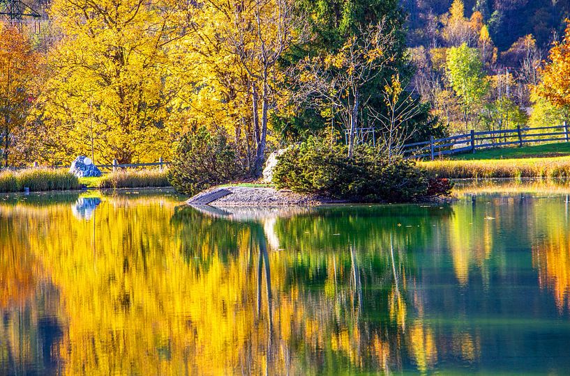 Een vis in de spiegel van Christa Kramer